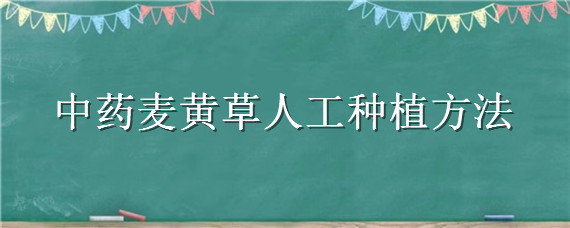 中药麦黄草人工种植方法"