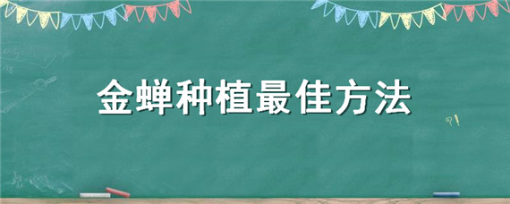 金蝉种植最佳方法