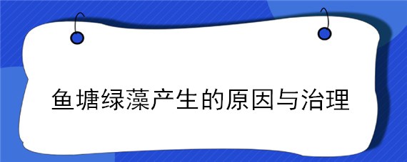 鱼塘绿藻产生的原因与治理"