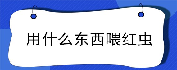 用什么东西喂红虫