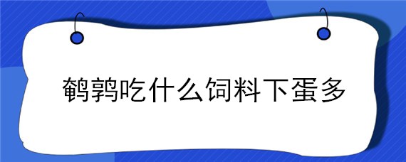 鹌鹑吃什么饲料下蛋多"