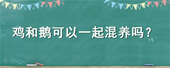 鸡和鹅可以一起混养吗"