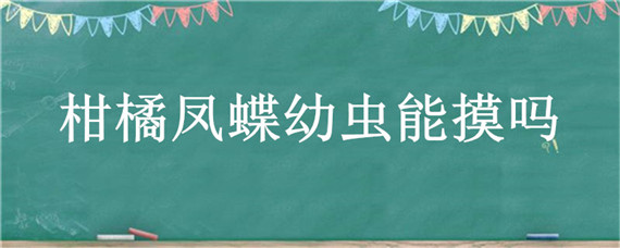 柑橘凤蝶幼虫能摸吗"