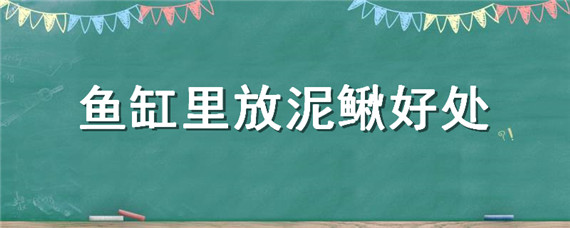 鱼缸里放泥鳅好处