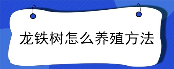 龙铁树怎么养殖方法