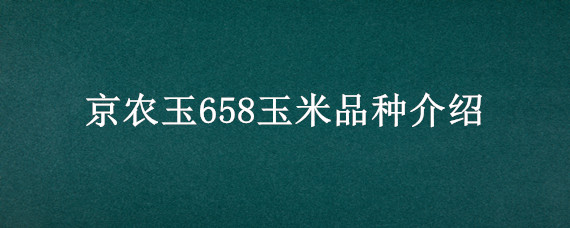 京农玉658玉米品种介绍