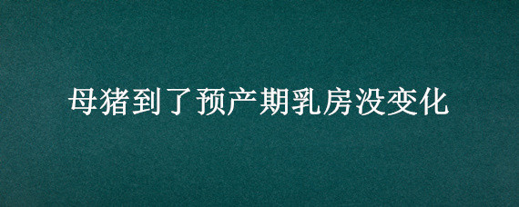 母猪到了预产期乳房没变化"