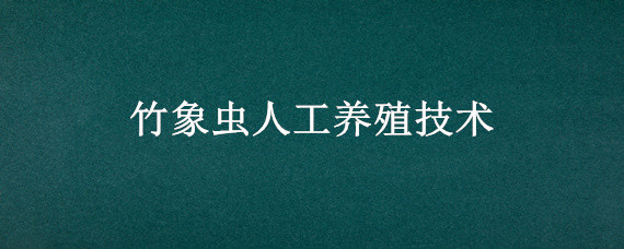 竹象虫人工养殖技术"