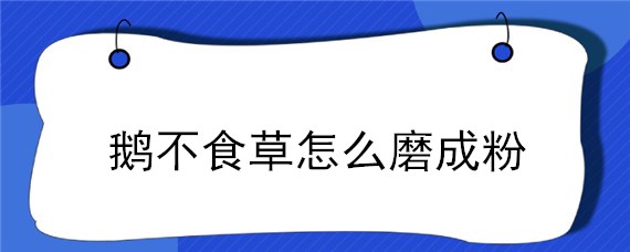 鹅不食草怎么磨成粉