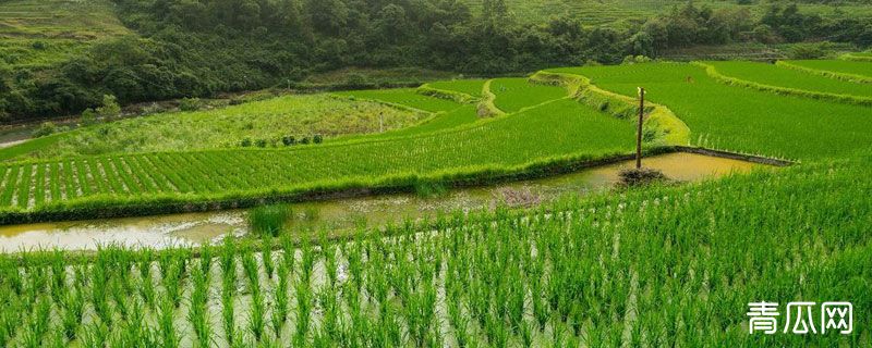 农田灌溉水标准"