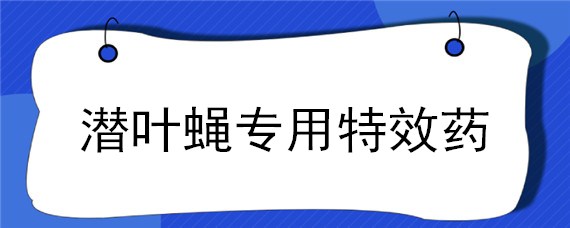 潜叶蝇专用特效药"