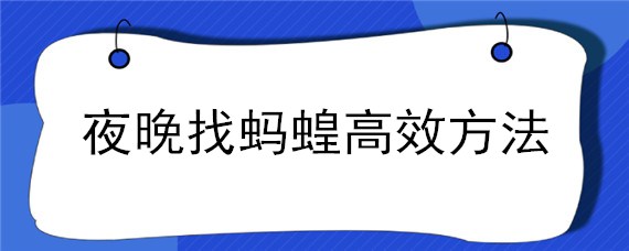 夜晚找蚂蝗高效方法