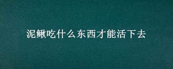 泥鳅吃什么东西才能活下去"