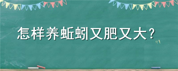 怎样养蚯蚓又肥又大"