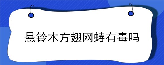 悬铃木方翅网蝽有毒吗