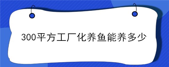 300平方工厂化养鱼能养多少"