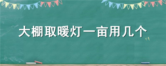 大棚取暖灯一亩用几个"