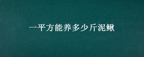 一平方能养多少斤泥鳅"