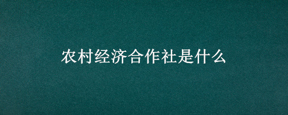 农村经济合作社是什么"