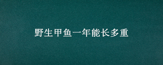 野生甲鱼一年能长多重