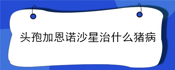 头孢加恩诺沙星治什么猪病"