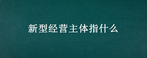 新型经营主体指什么"