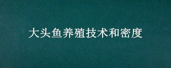 大头鱼养殖技术和密度