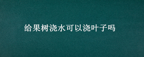 给果树浇水可以浇叶子吗