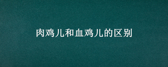 肉鸡儿和血鸡儿的区别"