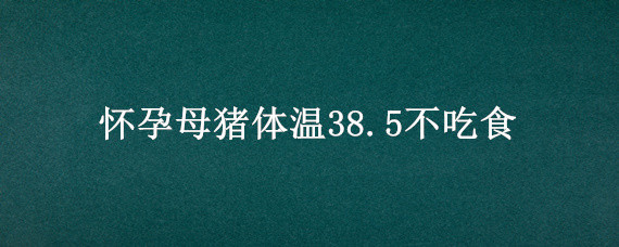 怀孕母猪体温38.5不吃食"