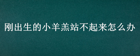 刚出生的小羊羔站不起来怎么办