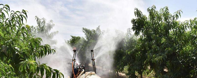 打药几小时内不能下雨一般用多大压力"