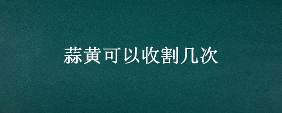 蒜黄可以收割几次"