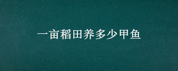 一亩稻田养多少甲鱼