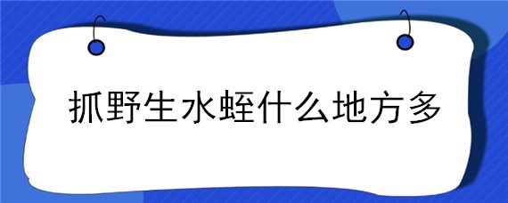 抓野生水蛭什么地方多"