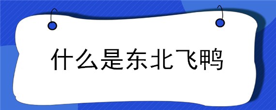 什么是东北飞鸭