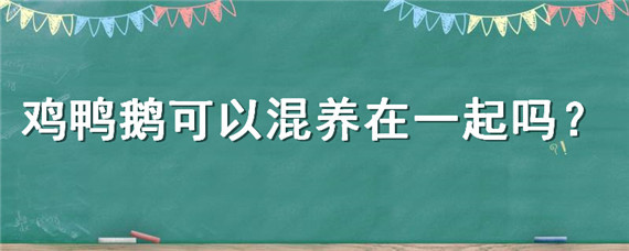 鸡鸭鹅可以混养在一起吗"