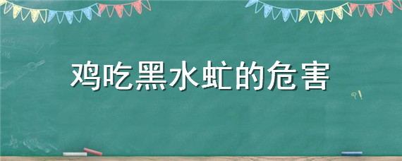 鸡吃黑水虻的危害"