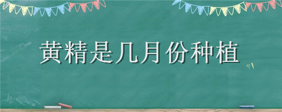 黄精是几月份种植