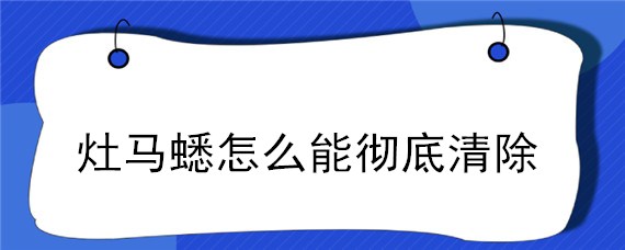 灶马蟋怎么能彻底清除"