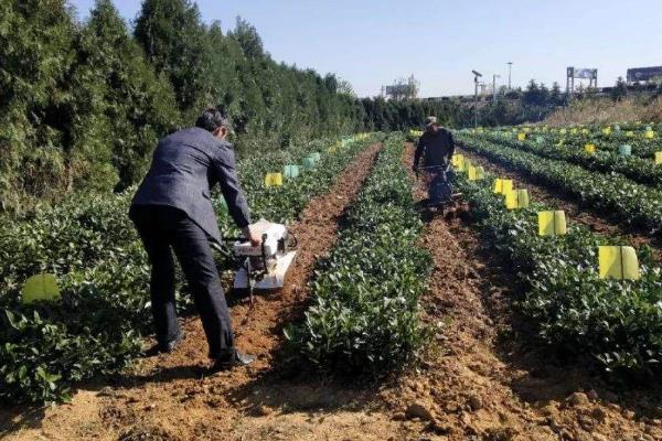 土壤改良方法"