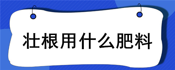 壮根用什么肥料"