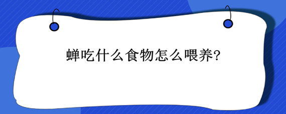 蝉吃什么食物怎么喂养?"