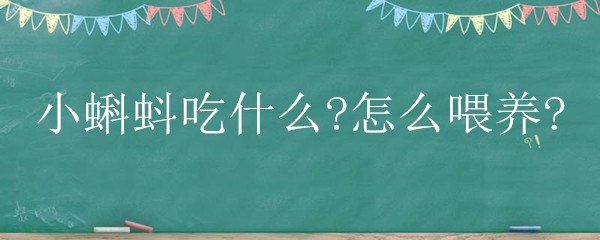 小蝌蚪吃什么?怎么喂养?"