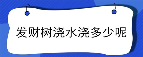 发财树浇水浇多少呢"