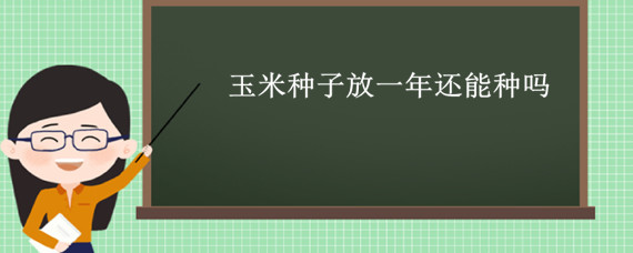 玉米种子放一年还能种吗"