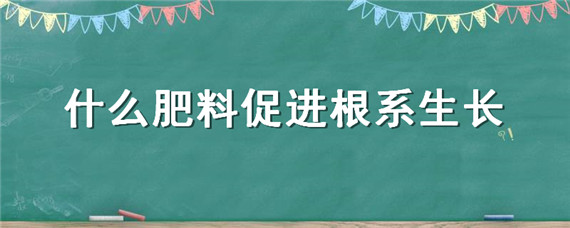 什么肥料促进根系生长"