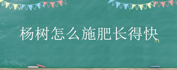 杨树怎么施肥长得快"