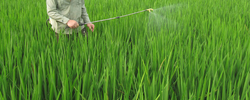 乙草胺打完了下雨管用吗,打完后多久可以种东西"