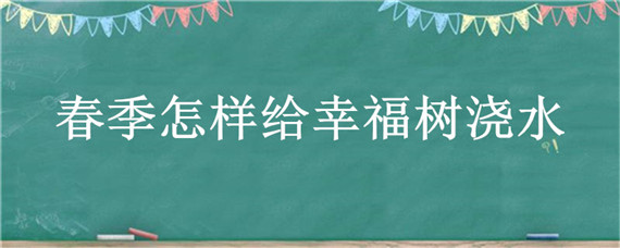 春季怎样给幸福树浇水"